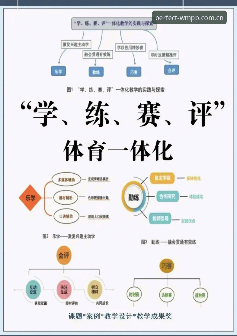 完美体育使用体验到底怎么样？从技术评测看哪个版本最适合你？