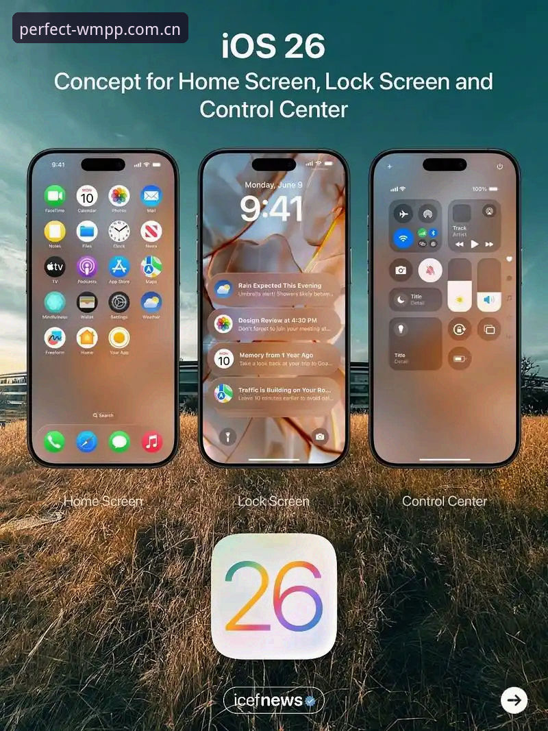 完美体育app最新版与旧版全面对比：哪个更适合你？